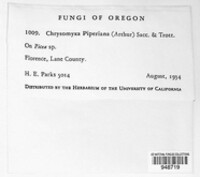 Chrysomyxa piperiana image